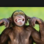 Profile Picture of Nelledwards (@nell.edwards) on Instagram