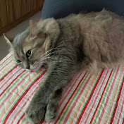 Profile Picture of Tatiana Lima (@tatianalima0) on Youtube