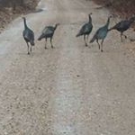 Profile Picture of Michael Hopping (@michaelhopping66) on Instagram