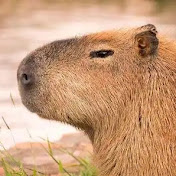 Profile Picture of Dylan Pittman (@Thegod-w) on Youtube