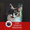 Profile Picture of Lori Wilder (@@loriwilder5) on Tiktok