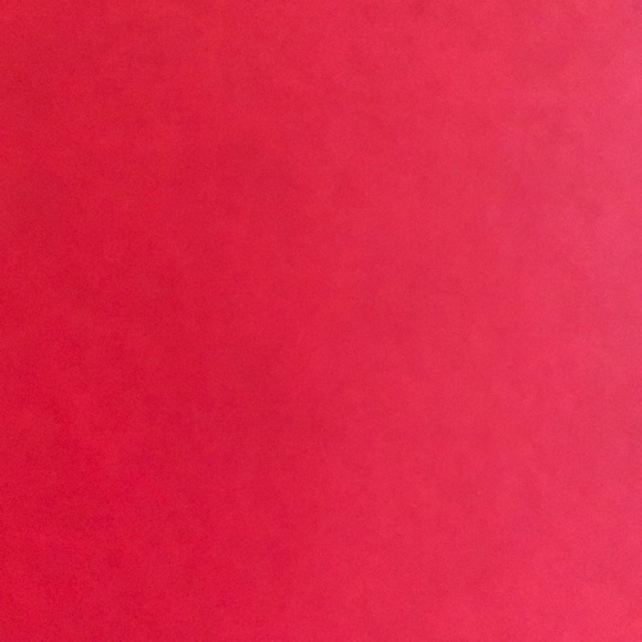 Profile Picture of Lindsay Budzynski (@lbudzynski) on Poshmark