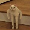 Profile Picture of Peter McLoughlin (@peterj_mcl) on Tiktok