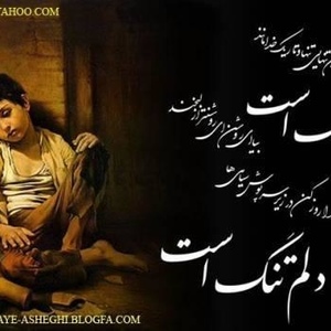 Profile Picture of David Khalili (@230582962) on Myspace