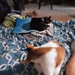 Profile Picture of Steven Gunning (@steven.gunning.56) on Instagram