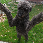 Bryant Hunter - Flickr Profile Picture of Bryant Hunter (@bryanthunter) on Flickr