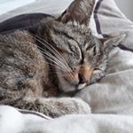 Profile Picture of petr zubek (@zubek.p) on Instagram