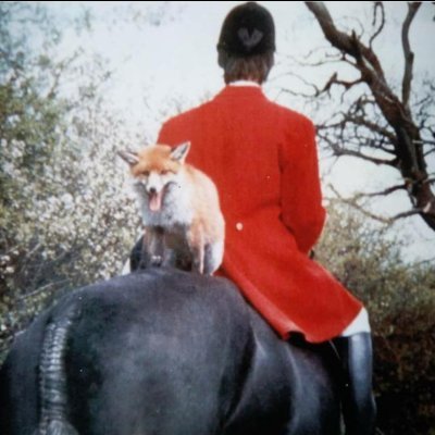 Profile Picture of Julia Pennington (@JuliaPe03116378) on Twitter