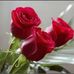 Profile Picture of Hifa Nur Korkmaz (@hifanur.korkmaz.33) on Facebook