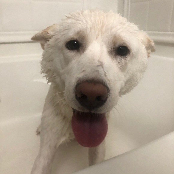 Profile Picture of Justin Muller (@justinyoass) on Poshmark