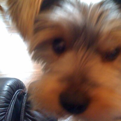 Profile Picture of Eric Earley (@EricEarley1) on Twitter