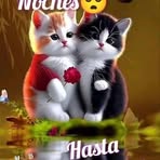 Profile Picture of Coni Chavez (@Coni-Chavez) on Facebook