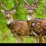 Emi Burgardt - Facebook Profile Picture of Emi Burgardt (@emi.burgardt.2025) on Facebook