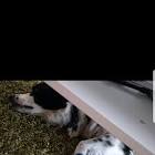 Profile Picture of   user kingen här🤘... (@eddeking0906) on Tiktok