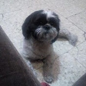 Profile Picture of Octavio Rivas (@octaviorivas3552) on Youtube