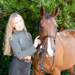 Profile Picture of I Love Bay Mares (@danielletaylornz) on Instagram