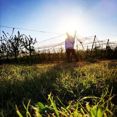 Michael Jauch - Twitter Profile Picture of Michael Jauch (@MichaelJauch2) on Twitter