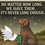 Profile Picture of Josh Bemiss (@BemissJosh19) on Facebook