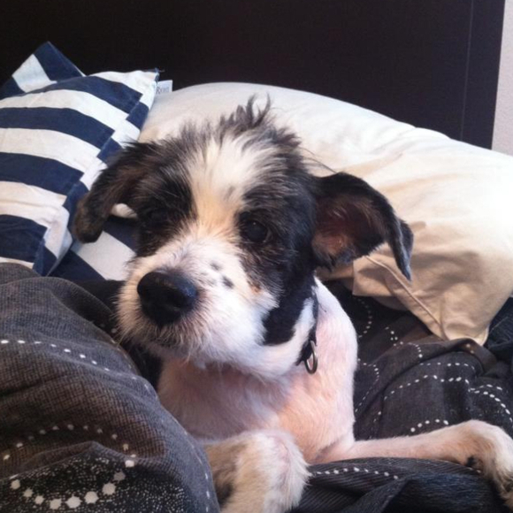 Profile Picture of Cecilia Andrade (@ceciansa2) on Poshmark