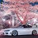 Profile Picture of Stephen Danner (@stephendanner05) on Pinterest