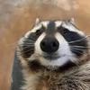 Profile Picture of Corey (@corey.sowers) on Tiktok
