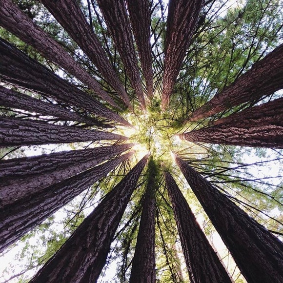 Profile Picture of Helen Deneffe (@helendeneffe) on Poshmark