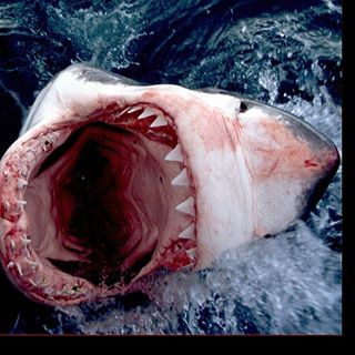 Profile Picture of Blaker Kinser (@blaker.kinser) on Facebook