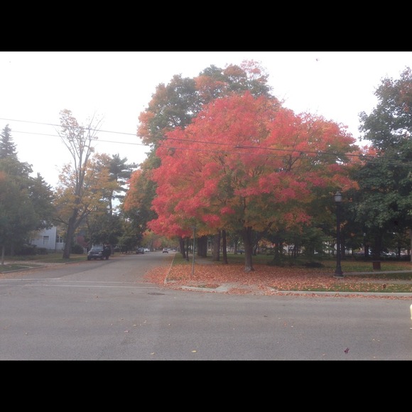 Profile Picture of Minchul Kim (@kimmc92) on Poshmark