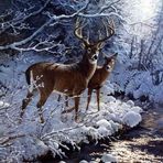 Greg Henson - Facebook Profile Picture of Greg Henson (@greg.henson.5243) on Facebook