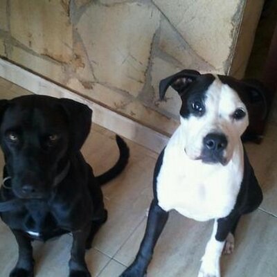Profile Picture of Carla Rendon (@Carla23guapa) on Twitter