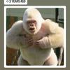 Profile Picture of Cliff Wilder (@@cliffwilder) on Tiktok