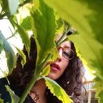 Profile Picture of Carmen Deanda (@carmen.deanda.77) on Instagram