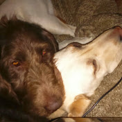 Profile Picture of Lorraine Barry (@lorrainebarry8360) on Youtube