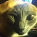 Profile Picture of jesse hampton (@cjhampton099) on Pinterest