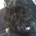 Profile Picture of Larry Cree (@larry.cree.984) on Facebook