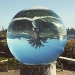 Profile Picture of Lily Gillett (@lily_gillett) on Instagram