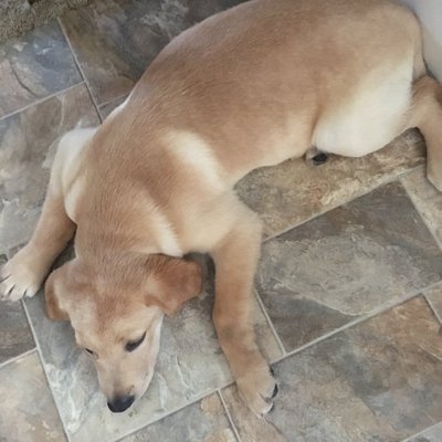 Profile Picture of Ivy Wade (@IvyWade15) on Twitter