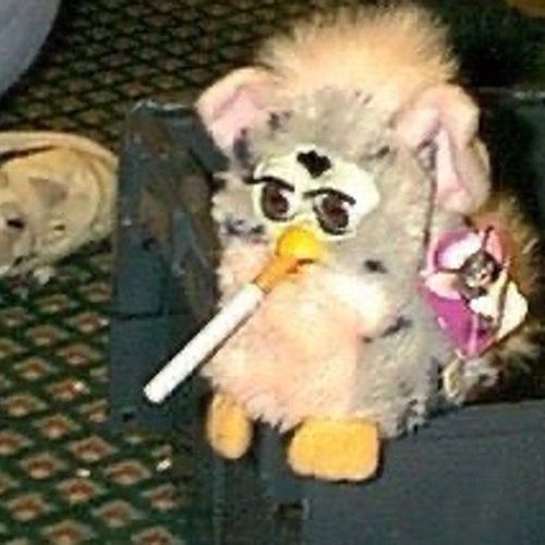 Profile Picture of Tim Corley (@@timcorley) on Tiktok