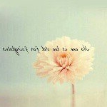 Profile Picture of rose nealy (@rose.nealy) on Instagram