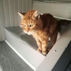 Profile Picture of Dominique Duval (@dominique.duval) on Tiktok