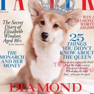 Profile Picture of Amanda Wittman (@awittman1) on Twitter