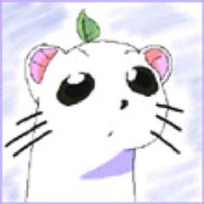 Profile Picture of Paula Shute (@PaulaShute) on Twitter