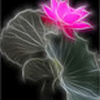 Profile Picture of MICHAEL HOARE (@MICHAELHOARE1) on Twitter