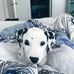 Profile Picture of Chris Rigal (@chris.rigal.94) on Facebook