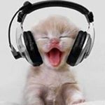 Jeremy Torbett - Instagram Profile Picture of Jeremy Torbett (@torbettjeremy) on Instagram