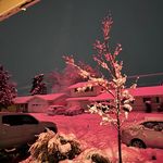 Profile Picture of Lori Nichols (@lorinichols3071) on Instagram