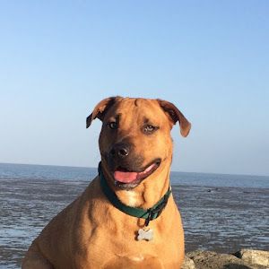 Profile Picture of garybamsch (@garybamsch) on Tiktok