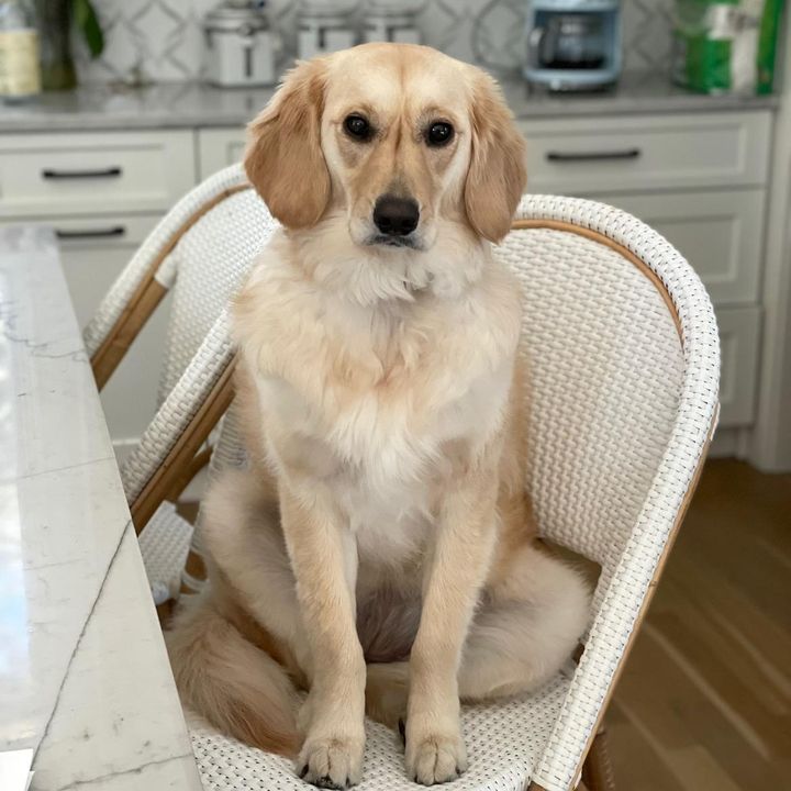 Profile Picture of Mindy Sabo Cox (@dottiedotcox) on Tiktok