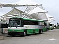 Profile Picture of SolanoExpresson Wikipedia