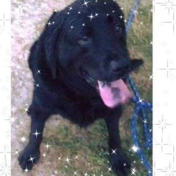 Profile Picture of Christina Glade (@christinaglade) on Poshmark